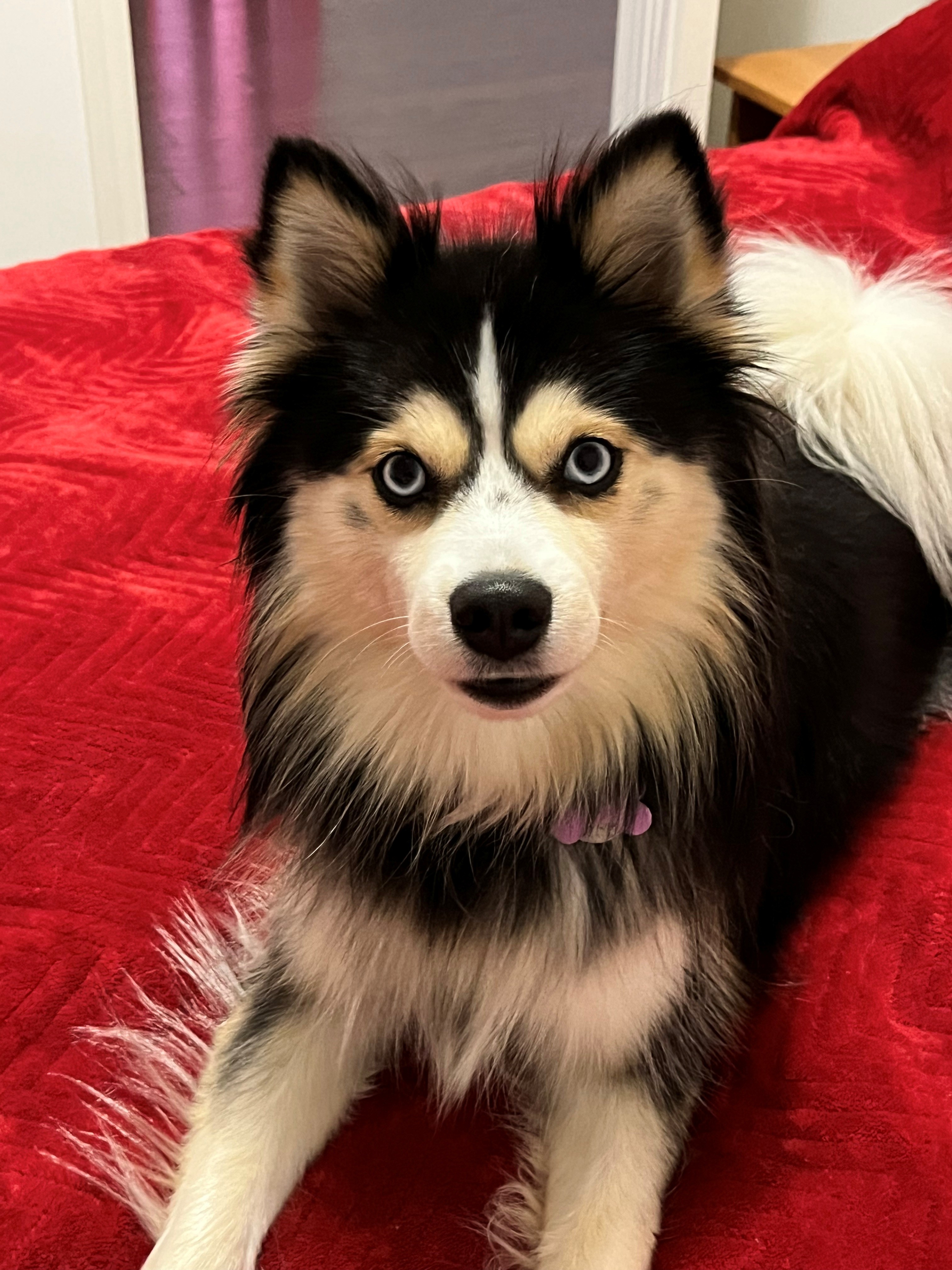 Vaiana