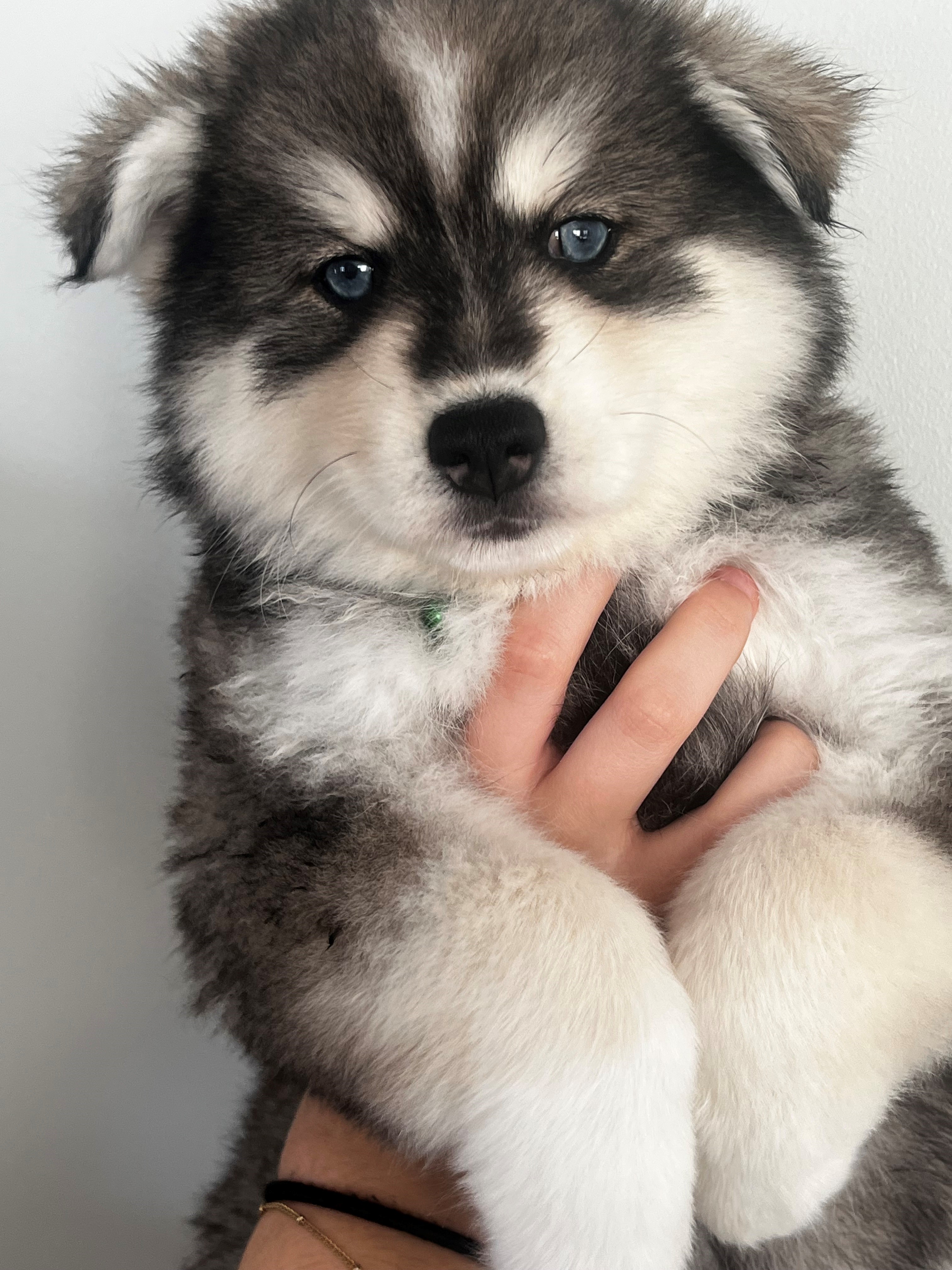 Kiri